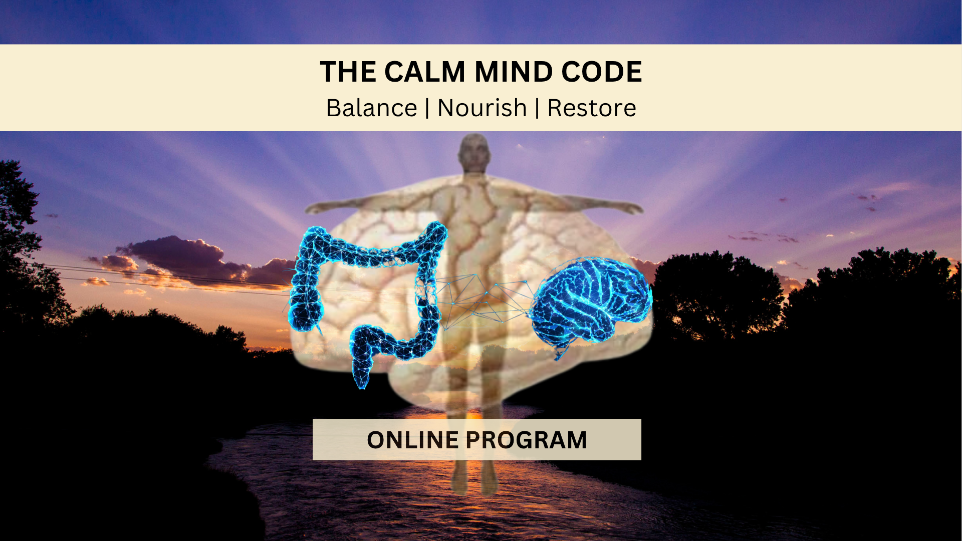 The Calm Mind Code program